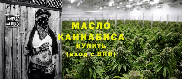 индика Белокуриха