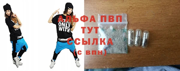 индика Белокуриха