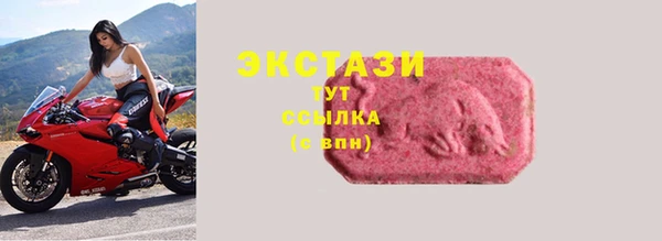 индика Белокуриха