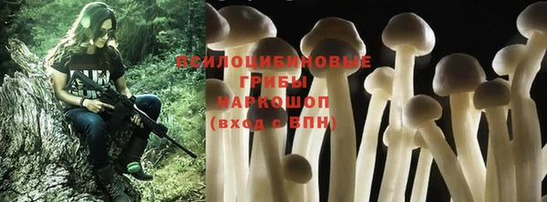 таблы Белоозёрский