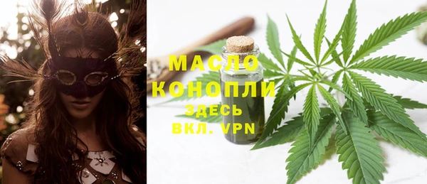 индика Белокуриха