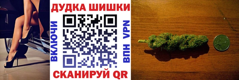 где найти Ворсма Каннабис индика
